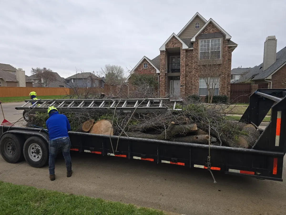Expert Lot Clearing with proper safety equipment in Mentone